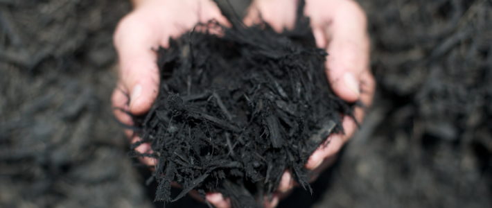 Black Mulch