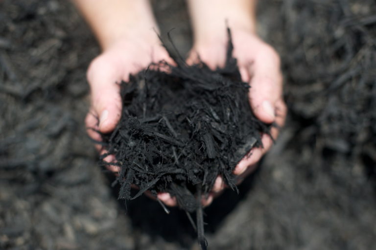 Products | Dyed Mulch | Black