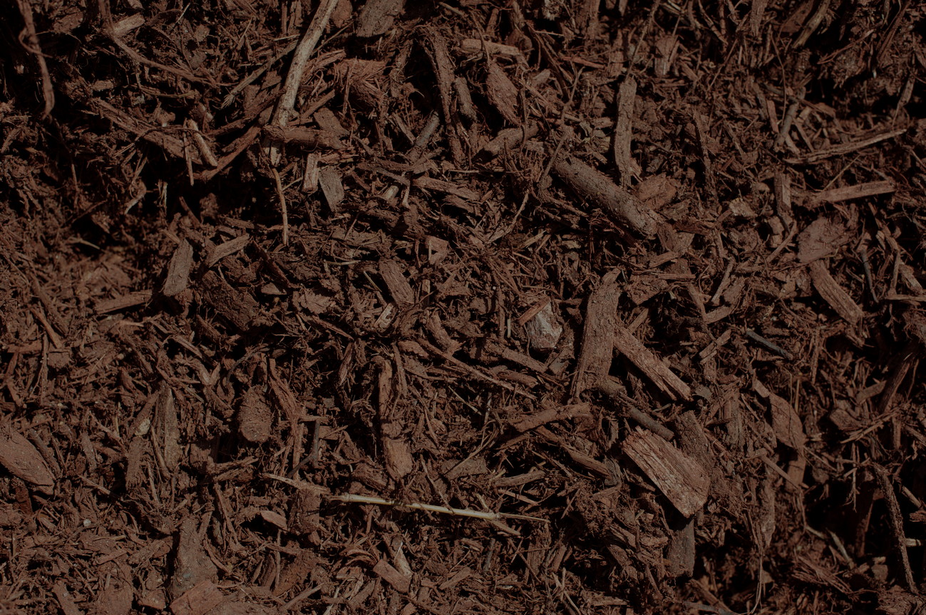 Products | Dyed Mulch | Cherry Brown