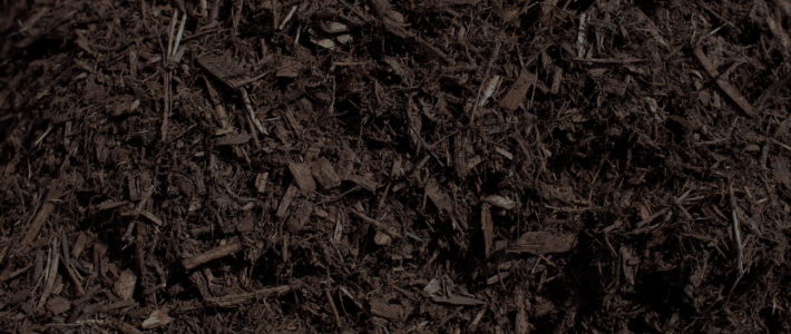 Double Hammered Brown