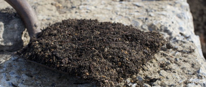 Botanic Garden Soil Conditioner