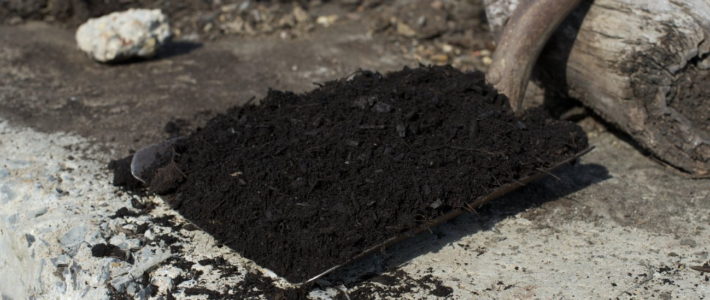 Compost